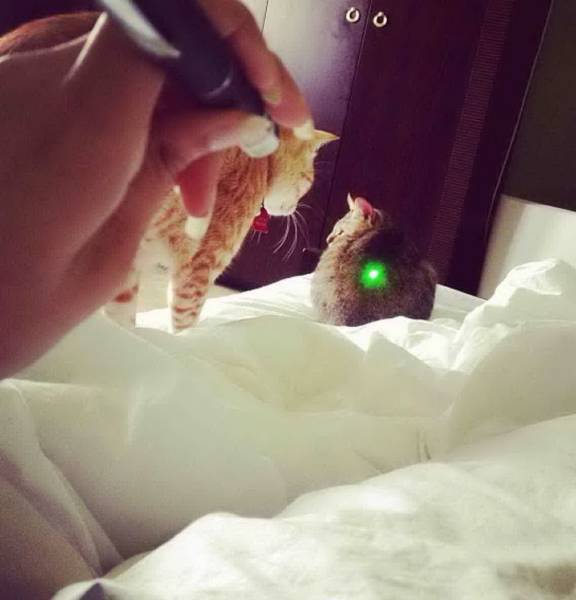 Daily Picdump