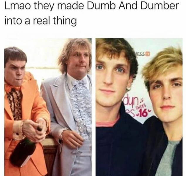 funny picdump 52 pics 13.html - 52 HD Photos | Premium Gallery 2018