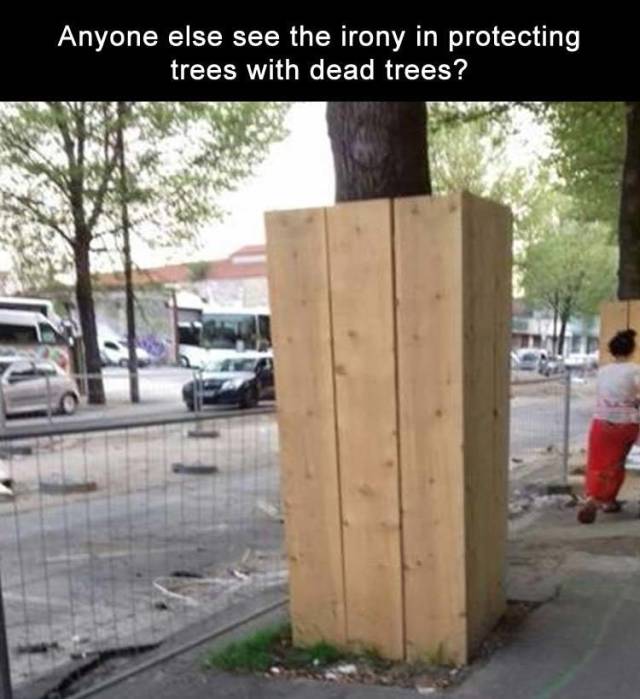 funny picdump 52 pics 13.html - 52 HD Photos | Premium Gallery 2018