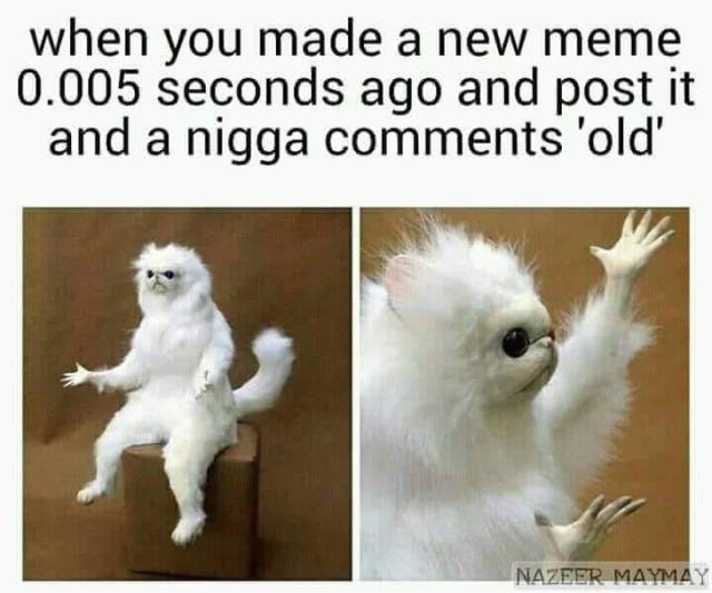 Memes to Amuse Your Tired Mind