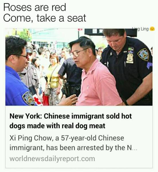 Memes to Amuse Your Tired Mind