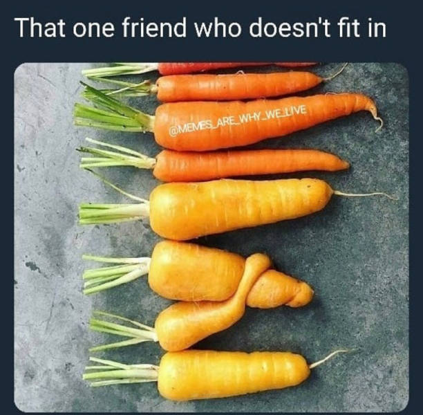 Memes to Amuse Your Tired Mind