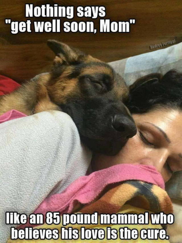 Memes to Amuse Your Tired Mind