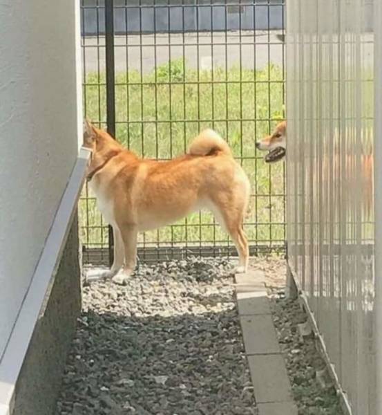 morning picdump 51 pics 24.html - 51 HD Photos | Premium Gallery 2018