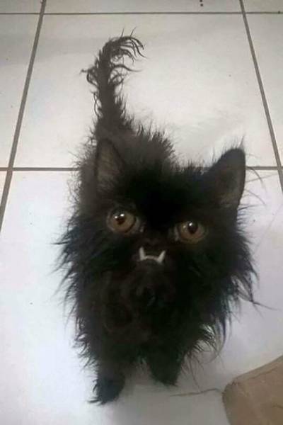 page,4,top 250 morning pics of the year 2018.html - 1 HD Photos | Premium Gallery 2018