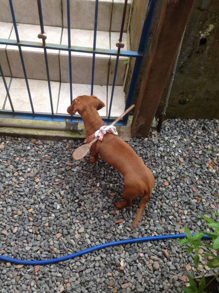 morning picdump 51 pics 24.html - 51 HD Photos | Premium Gallery 2018