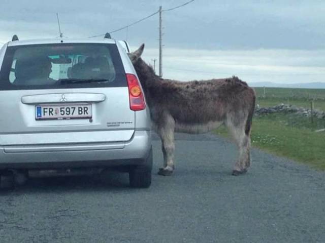 morning picdump 51 pics 24.html - 51 HD Photos | Premium Gallery 2018