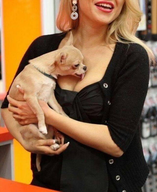 Daily Picdump