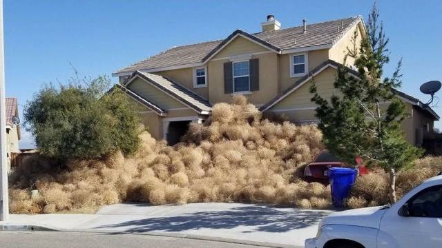 daily picdump 97 pics 4.html - 97 HD Photos | Premium Gallery 2018