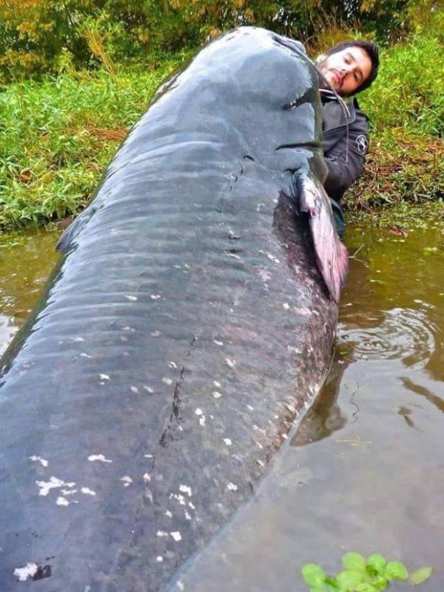 daily picdump 97 pics 4.html - 97 HD Photos | Premium Gallery 2018