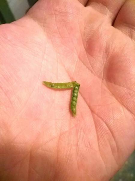 morning picdump 54 pics 2.html - 54 HD Photos | Premium Gallery 2018