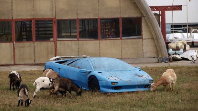 Daily Picdump