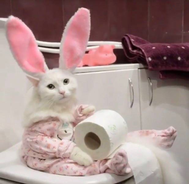 Daily Picdump