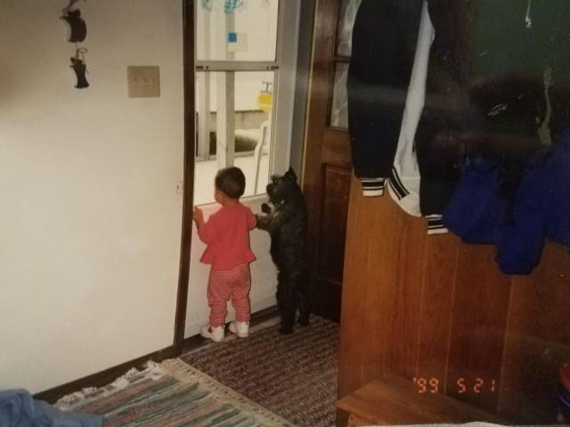 daily picdump 96 pics 31.html - 96 HD Photos | Premium Gallery 2018