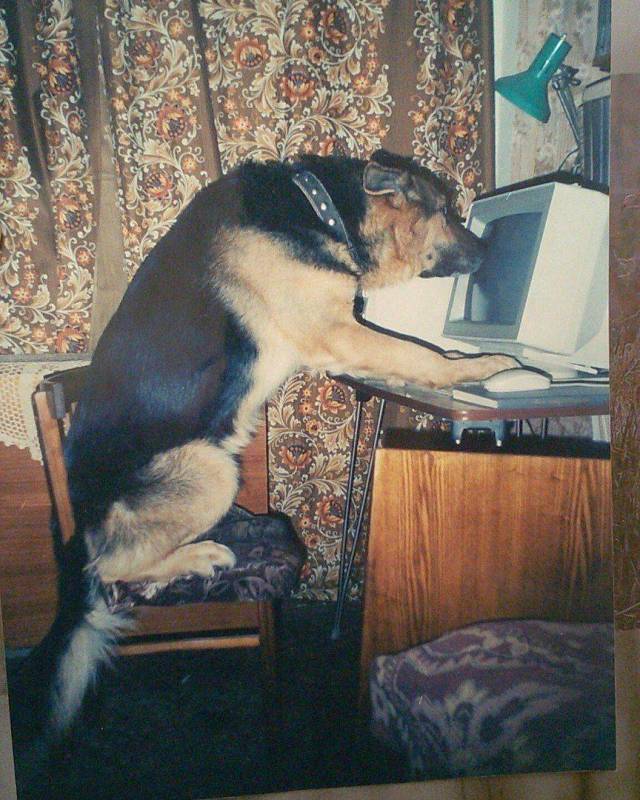 daily picdump 96 pics 31.html - 96 HD Photos | Premium Gallery 2018