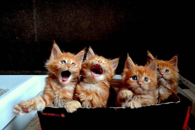 Daily Picdump