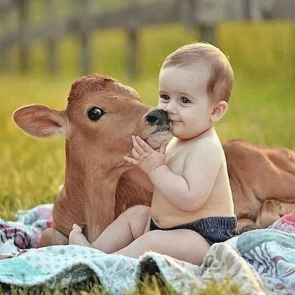 daily picdump 90 pics 2.html - 90 HD Photos | Premium Gallery 2018
