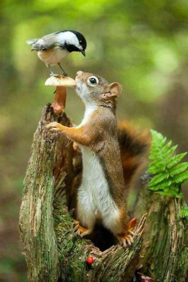 Daily Picdump