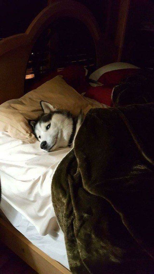 Daily Picdump