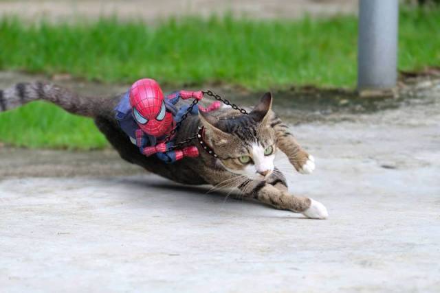 morning picdump 52 pics 12.html - 52 HD Photos | Premium Gallery 2018