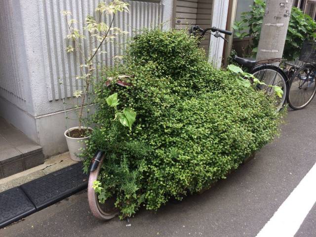daily picdump 98 pics 49.html - 98 HD Photos | Premium Gallery 2018