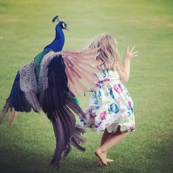 daily picdump 89 pics 43.html - 89 HD Photos | Premium Gallery 2018