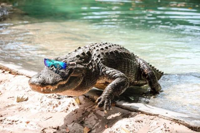 daily picdump 89 pics 43.html - 89 HD Photos | Premium Gallery 2018