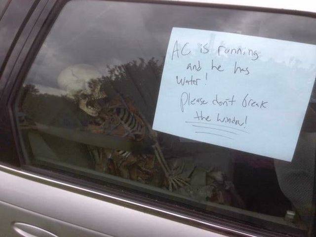 daily picdump 89 pics 43.html - 89 HD Photos | Premium Gallery 2018