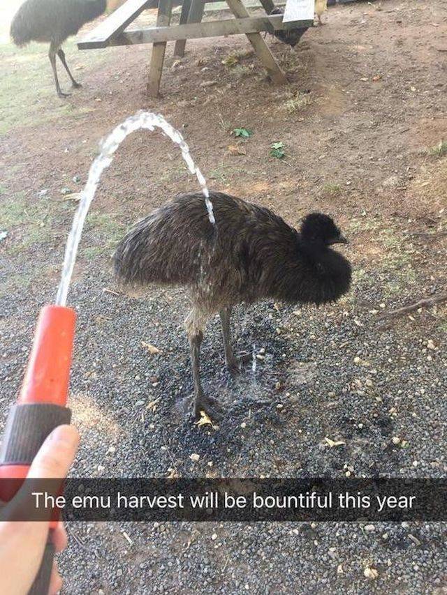daily picdump 89 pics 43.html - 89 HD Photos | Premium Gallery 2018