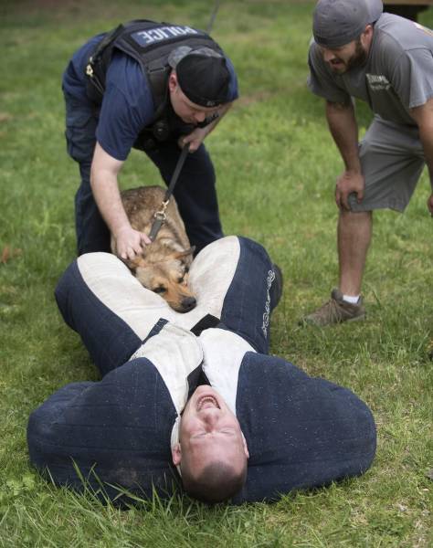 Daily Picdump