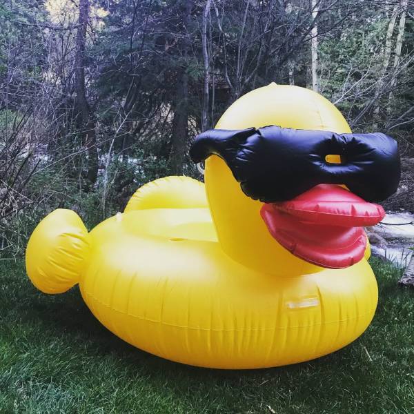 daily picdump 102 pics 40.html - 102 HD Photos | Premium Gallery 2018