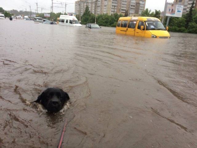 daily picdump 102 pics 40.html - 102 HD Photos | Premium Gallery 2018