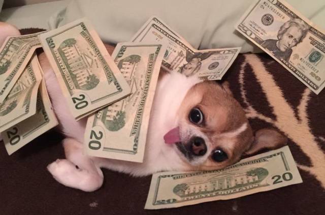 daily picdump 102 pics 40.html - 102 HD Photos | Premium Gallery 2018