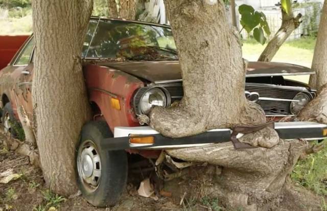 daily picdump 102 pics 40.html - 102 HD Photos | Premium Gallery 2018