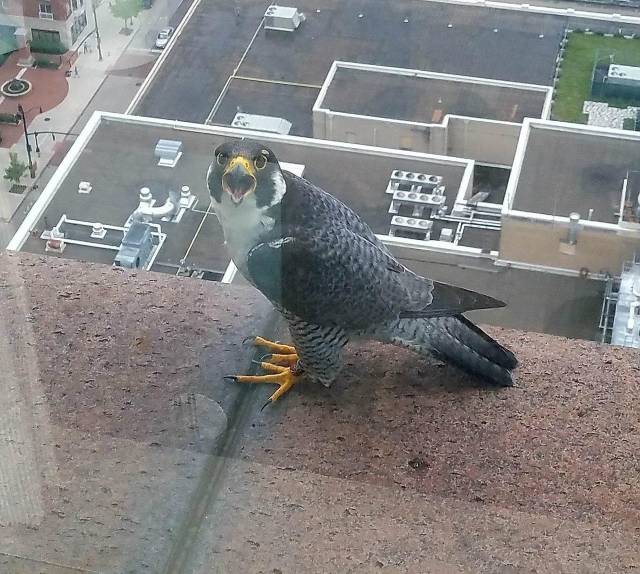 daily picdump 102 pics 40.html - 102 HD Photos | Premium Gallery 2018