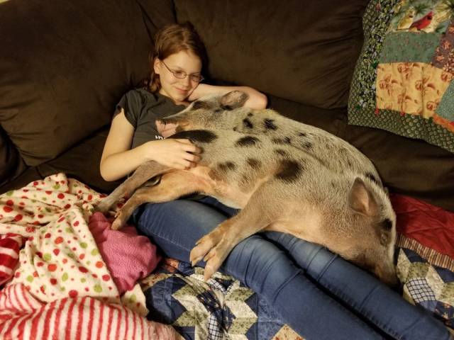 daily picdump weekend edition 77 pics 6.html - 77 HD Photos | Premium Gallery 2018