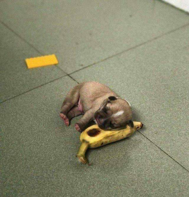 daily picdump weekend edition 77 pics 6.html - 77 HD Photos | Premium Gallery 2018