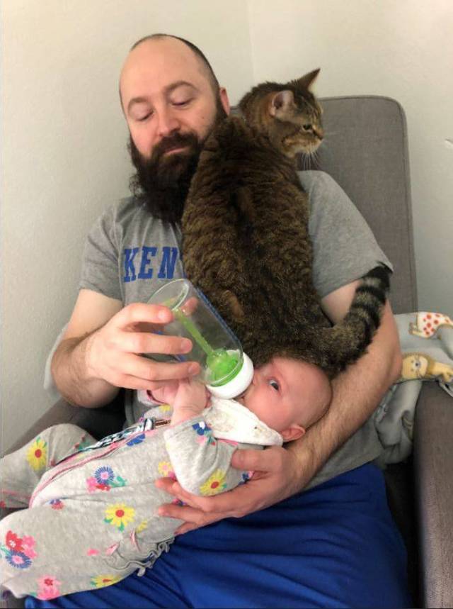 daily picdump weekend edition 77 pics 6.html - 77 HD Photos | Premium Gallery 2018