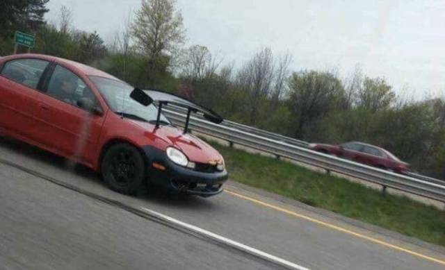 daily picdump 99 pics 12.html - 99 HD Photos | Premium Gallery 2018