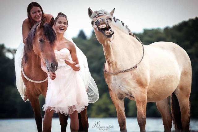 daily picdump 99 pics 12.html - 99 HD Photos | Premium Gallery 2018
