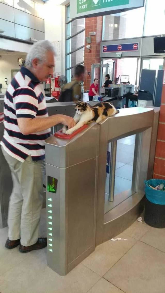 daily picdump 99 pics 12.html - 99 HD Photos | Premium Gallery 2018