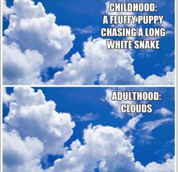 Adult Life Is Nothing Like Kid