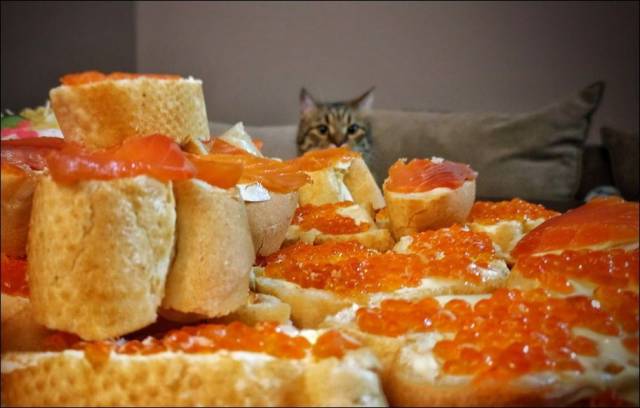 daily picdump 97 pics 29.html - 97 HD Photos | Premium Gallery 2018