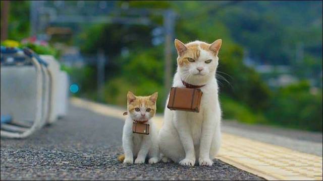 daily picdump 97 pics 29.html - 97 HD Photos | Premium Gallery 2018