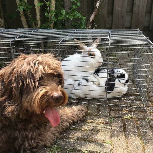 daily picdump 97 pics 29.html - 97 HD Photos | Premium Gallery 2018