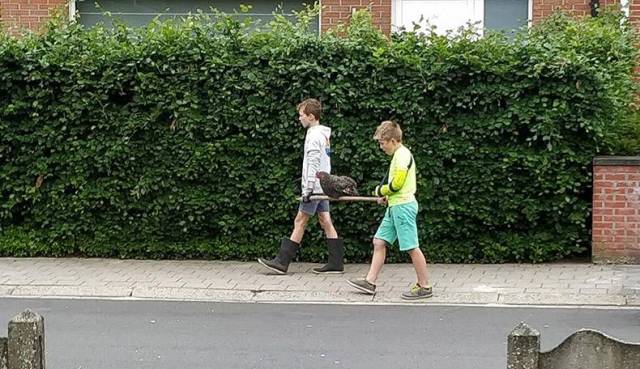 daily picdump 97 pics 29.html - 97 HD Photos | Premium Gallery 2018