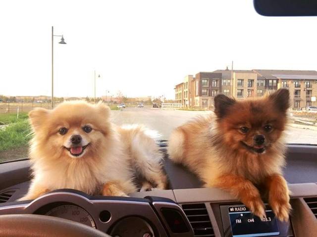 daily picdump 97 pics 29.html - 97 HD Photos | Premium Gallery 2018