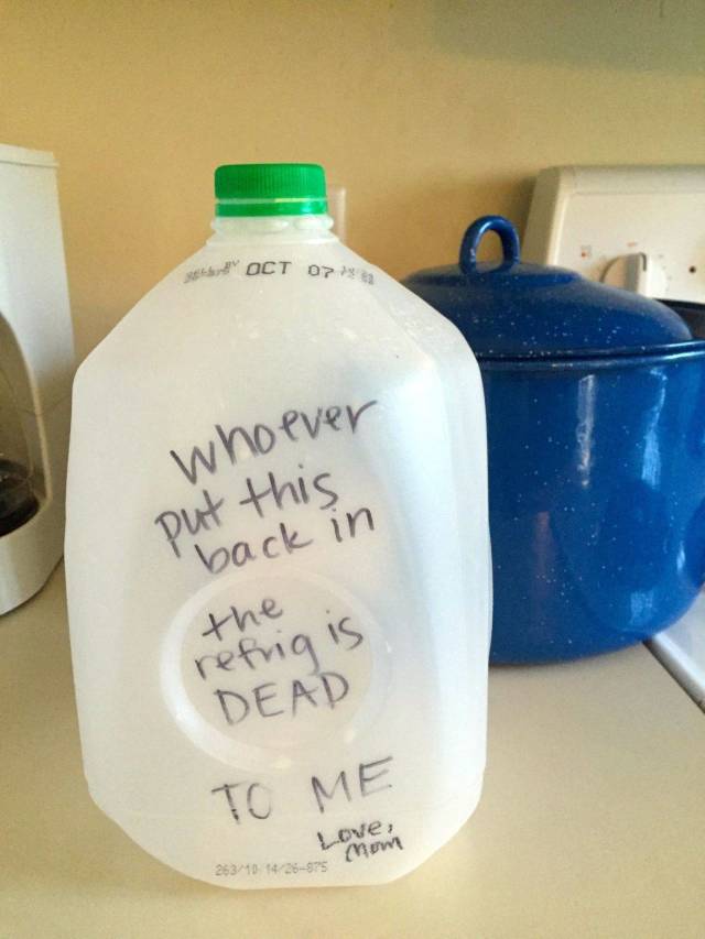 Daily Picdump
