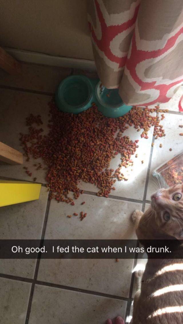 Daily Picdump