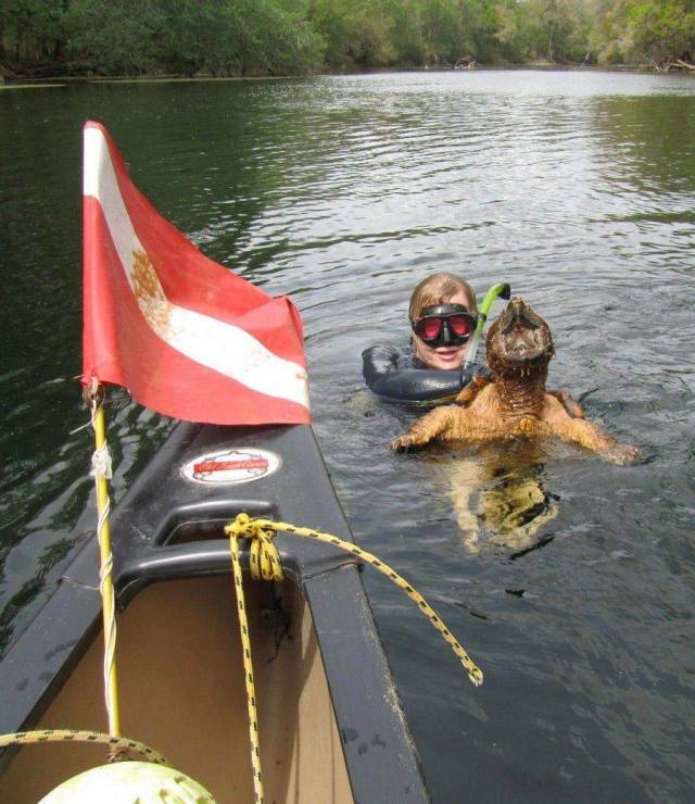 daily picdump 97 pics 29.html - 97 HD Photos | Premium Gallery 2018